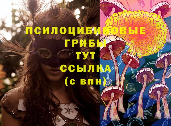 кокс Алексеевка