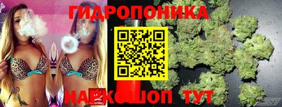 спиды Жуковский