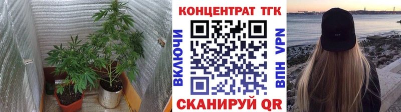 дарнет шоп  Магадан  Дистиллят ТГК вейп с тгк 