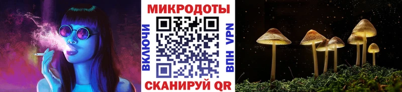 Псилоцибиновые грибы GOLDEN TEACHER где найти darknet телеграм Магадан блэк спрут как войти