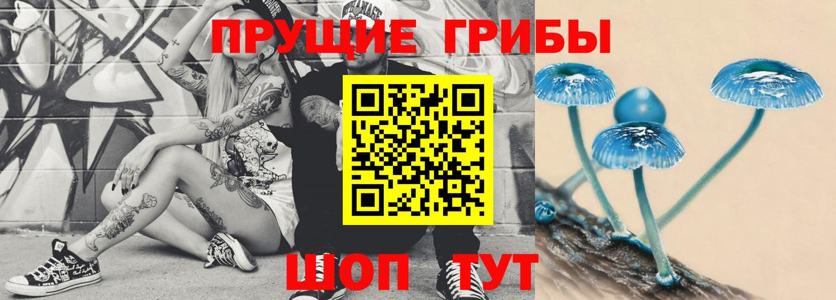 Псилоцибиновые грибы MAGIC MUSHROOMS  Вход с VPN  Магадан 
