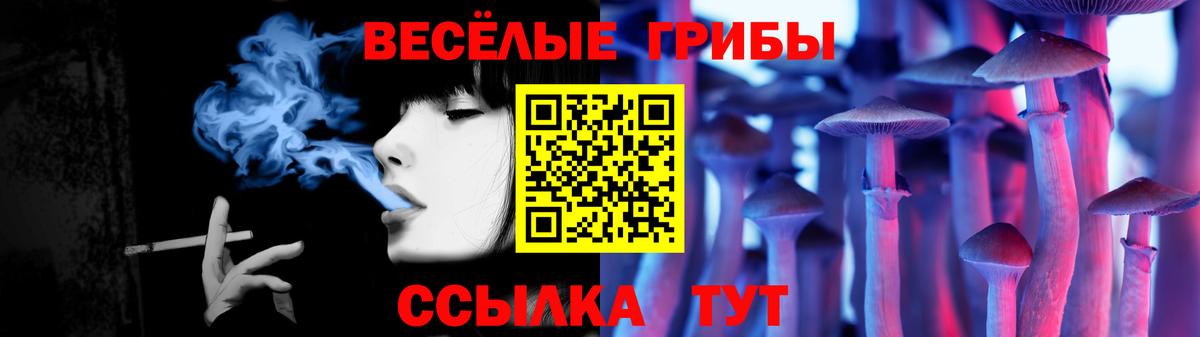 Галлюциногенные грибы ЛСД Магадан