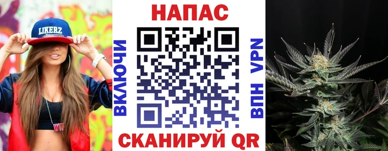 купить  цена  Магадан  Каннабис OG Kush 